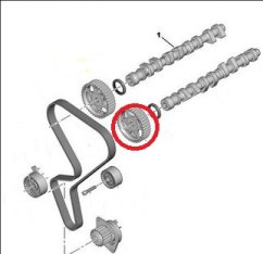 rozvodové kolo citroen ,peugeot ,1.6,1.6 16v,0805.f1-fparts