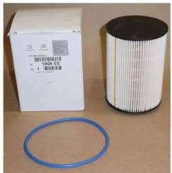 Palivový filtr pro vozy: CITROEN C5 III, C6; PEUGEOT 407, 607 2.7hdi D 12.04-