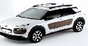 C4 CACTUS