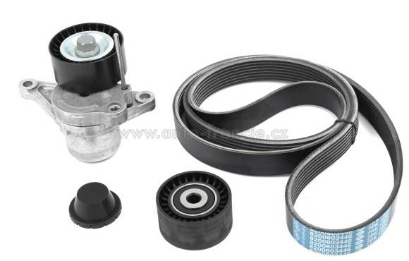 117209389r sada kladek klínového řemene renault master 2.3 dci